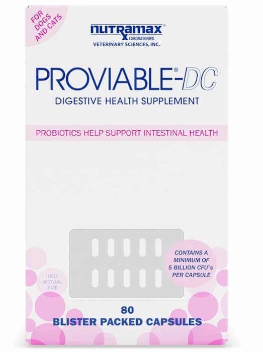 Proviable for dogs digestive support